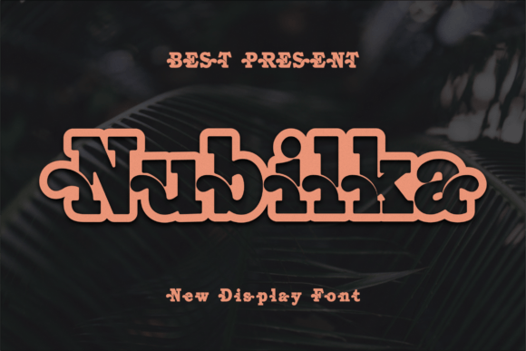 Nubilka: A Modern Font for Creative Crafters and Printables